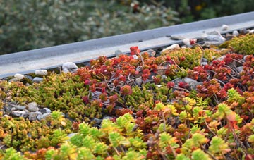 the cost of Llanhilleth green roof installation