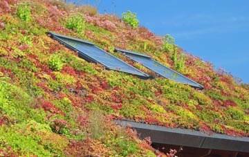 Llanhilleth living roof systems