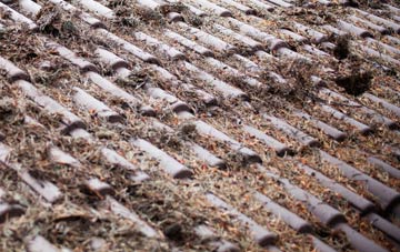 Llanhilleth roof cleaning companies